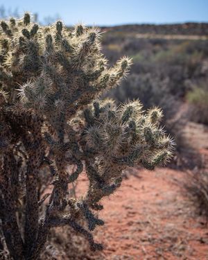 Image post by @berithovaphotography on Instagram