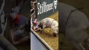 Video post by @pbr on YouTube