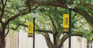 Image post by @officialsouthernmiss on Instagram
