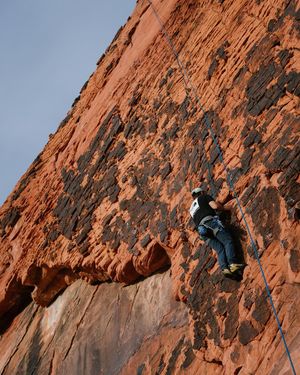 Image post by @tylerleaman on Instagram