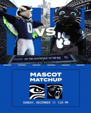 Image post by @blitztheseahawk on Instagram