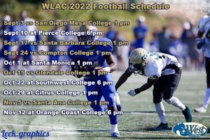 Image post by @leek.graphics on Instagram