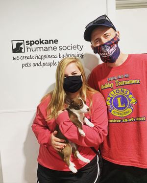 Image post by @spokhumanesoc on Instagram