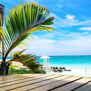 Image post by @hiltonhotels on Instagram