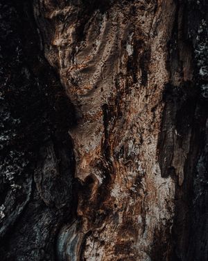 Image post by @kpearsonmedia on Instagram