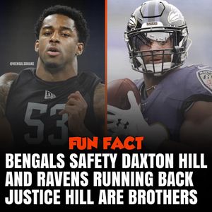 Image post by @bengalsdrake on Instagram