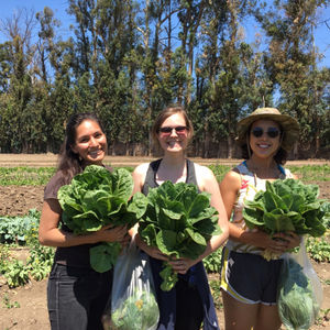 Image post by @uscdornsife on Instagram