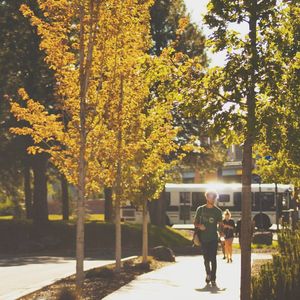 Image post by @nauflagstaff on Instagram