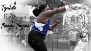 Image post by @tsutigers on Instagram