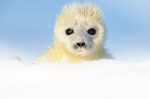 Image post by @natgeo on Instagram