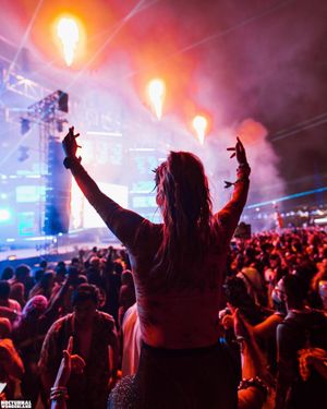 Image post by @nocturnalwland on Instagram