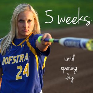 Image post by @hofstrasoftball on Instagram