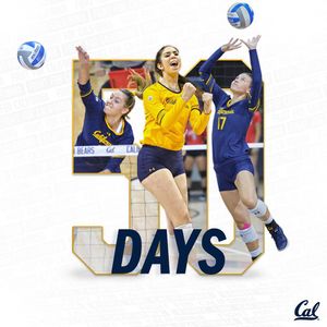 Image post by @calvolleyball on Instagram
