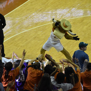 Image post by @texaswbb on Instagram
