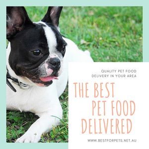 Image post by @bestforpetsmelb on Instagram