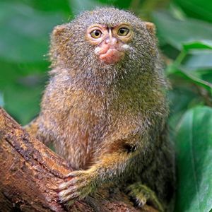 Image post by @discovery on Instagram
