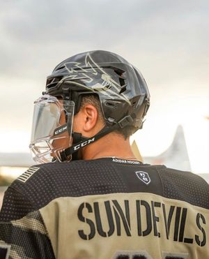 Image post by @nhl.discussion on Instagram
