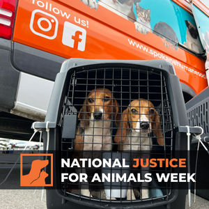 Image post by @spokhumanesoc on Instagram
