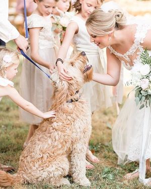 Image post by @theknot on Instagram