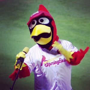 Image post by @springfield_cardinals on Instagram