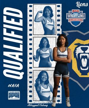 Image post by @vulions on Instagram