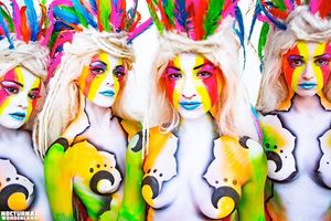 Image post by @nocturnalwland on Instagram