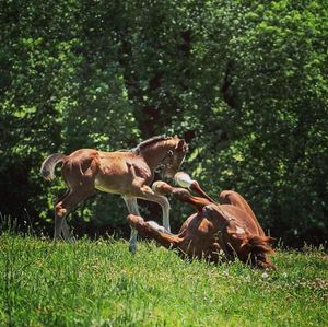 Image post by @margaux.farm on Instagram