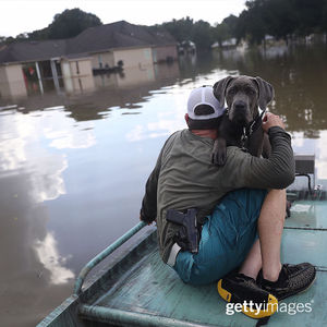 Image post by @gettyimages on Instagram