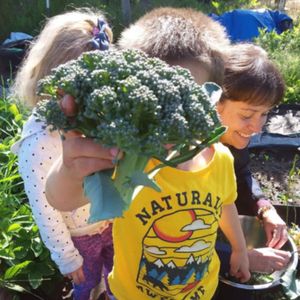 Image post by @kidsgardening on Instagram