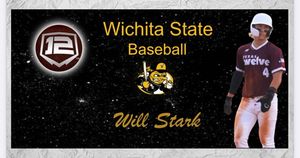 Image post by @twelvebaseball on Instagram
