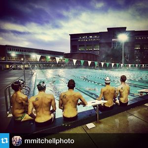 Image post by @msu_fieldhockey on Instagram