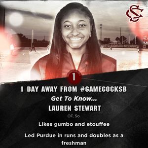 Image post by @gamecocksoftball on Instagram