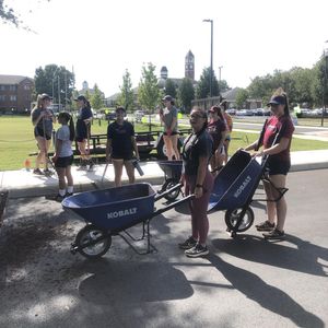 Image post by @leeusoftball on Instagram