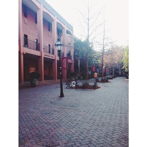 Image post by @collegeofcharleston on Instagram