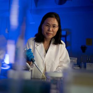 Image post by @uofmemphis on Instagram