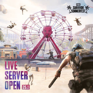 Image post by @PUBG on Twitter