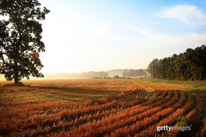 Image post by @gettyimages on Instagram