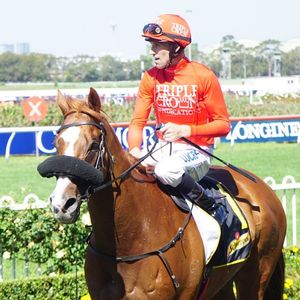 Image post by @australianturfclub on Instagram
