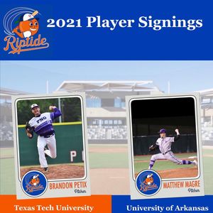 Image post by @ocriptidebaseball on Instagram