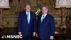 Video post by @msnbc on YouTube