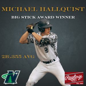 Image post by @duluthhuskies on Instagram
