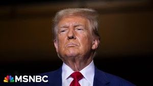 Video post by @msnbc on YouTube