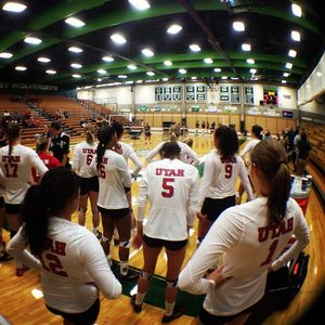 Image post by @utahvolleyball on Instagram