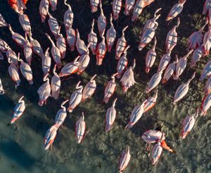 Image post by @discovery on Instagram