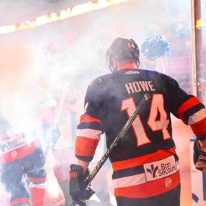 Image post by @swamprabbits on Instagram
