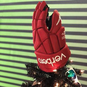 Image post by @verberohockey on Instagram