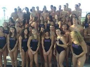 Image post by @gcu_swimdive on Instagram