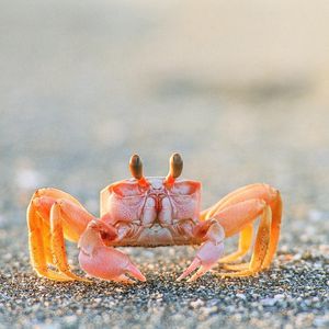 Image post by @discovery on Instagram