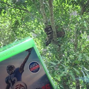 Image post by @easportsinsider on Instagram