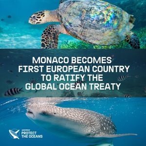 Image post by @greenpeace on Instagram